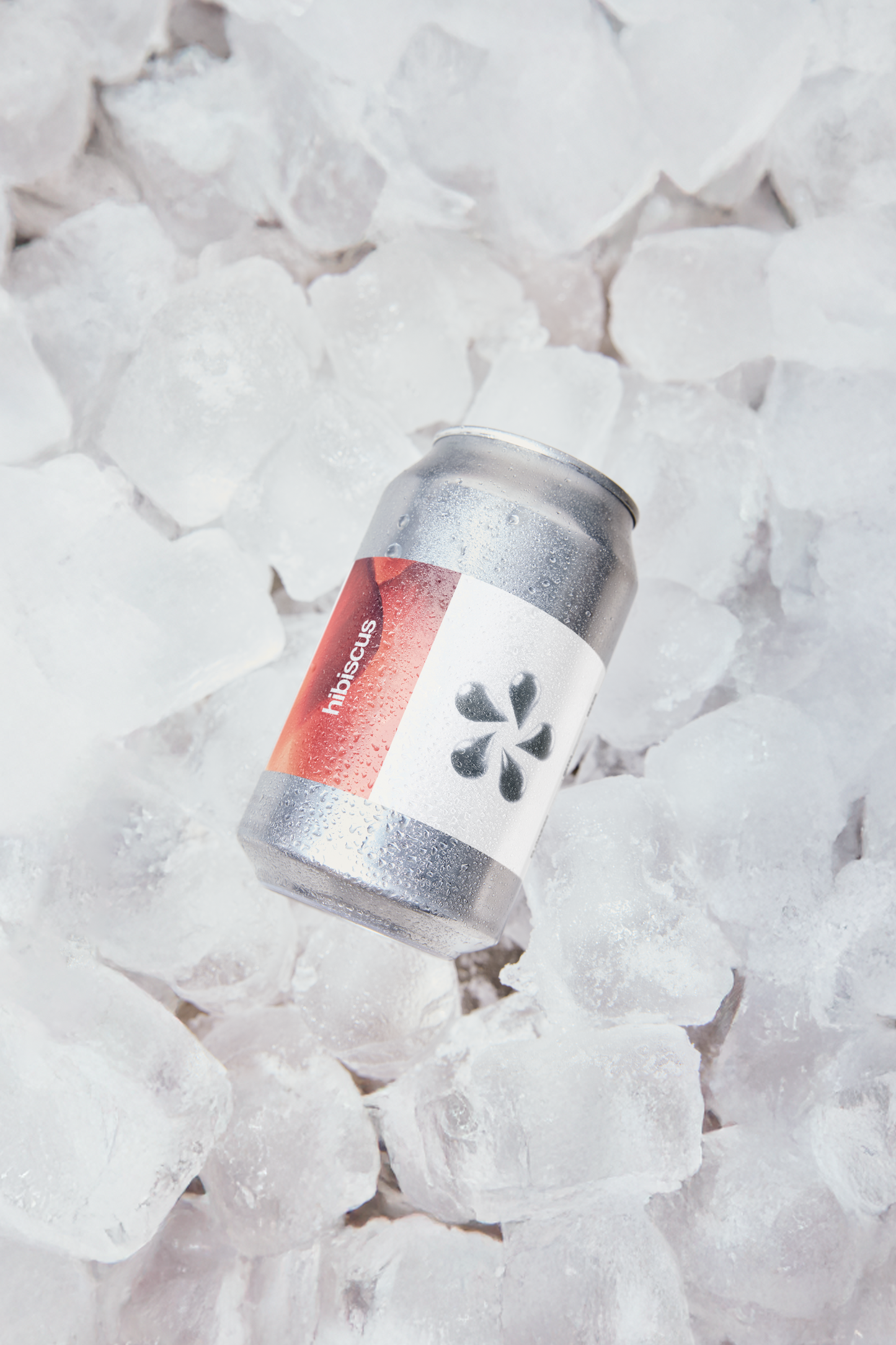 FLORA N2 | Hibiscus Lager 5,2% 33CL