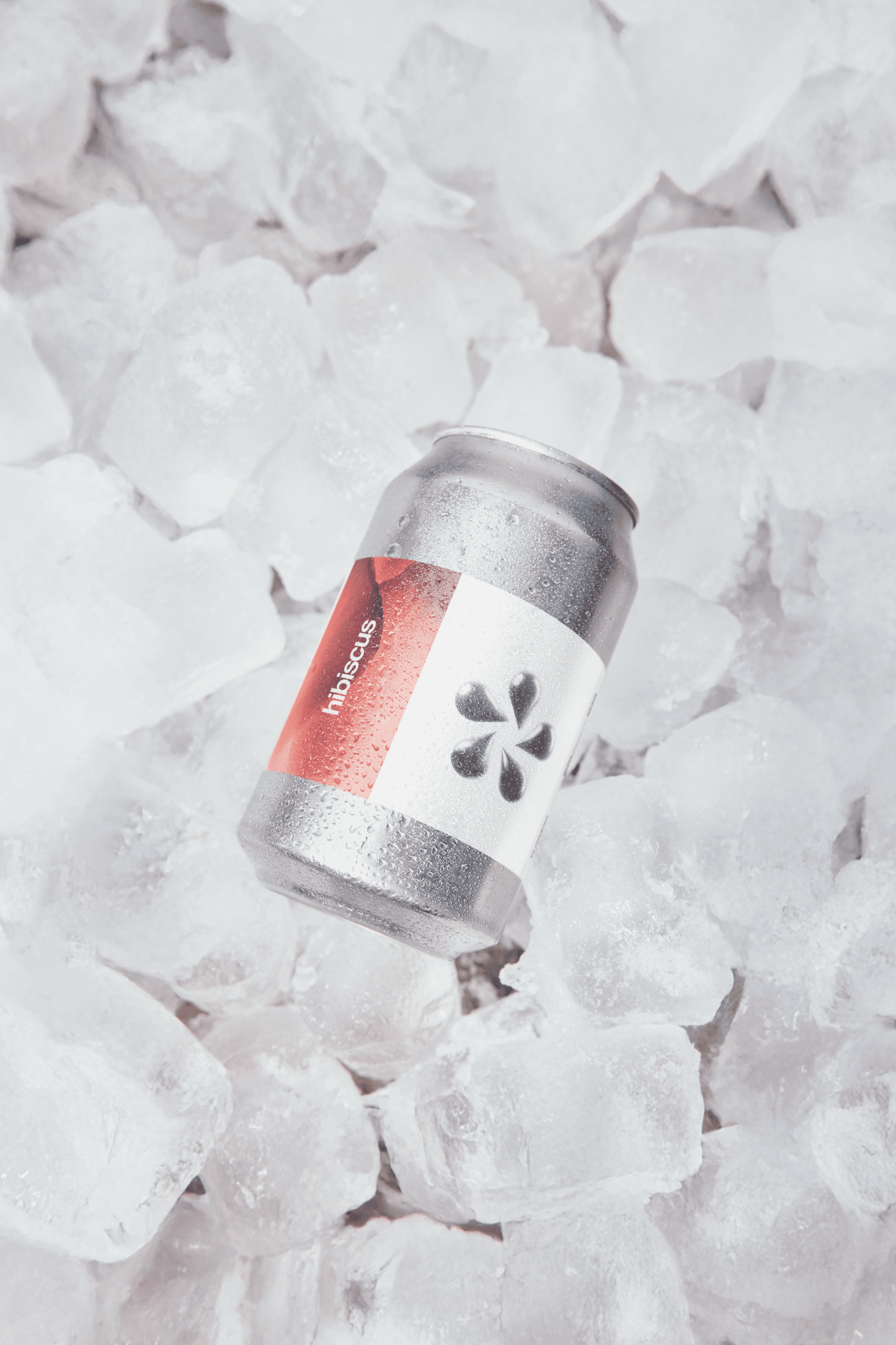 FLORA N°2 | Hibiscus Lager 5,2% 33CL